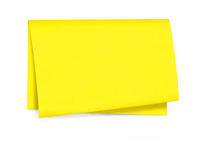 Papel de Seda Liso 49x69 cm c/100 Folhas